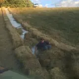 Okes Family Farms photo