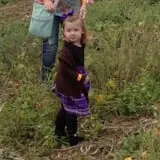 Okes Family Farms photo