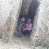 Okes Family Farms photo