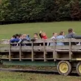 Okes Family Farms photo