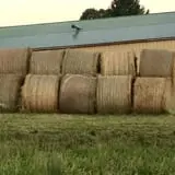 Okes Family Farms photo