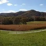 Okes Family Farms photo