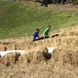 Okes Family Farms photo