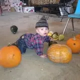 Okes Family Farms photo