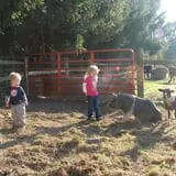 Okes Family Farms photo