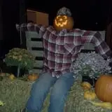 Okes Family Farms photo