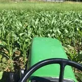 Okes Family Farms photo