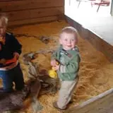 Okes Family Farms photo