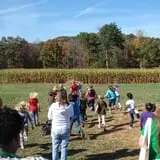 Okes Family Farms photo