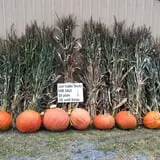 Okes Family Farms photo