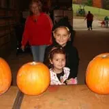 Okes Family Farms photo