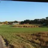 Okes Family Farms photo