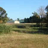 Okes Family Farms photo