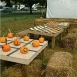 Okes Family Farms photo