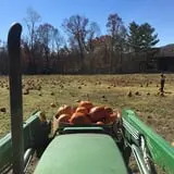 Okes Family Farms photo