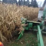 Okes Family Farms photo