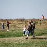 Mills Apple Farm photo