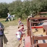 Mills Apple Farm photo