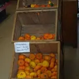 Mills Apple Farm photo