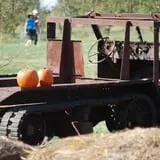 Mills Apple Farm photo