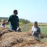 Mills Apple Farm photo