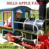 Mills Apple Farm photo