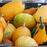 Mills Apple Farm photo