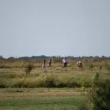 Mills Apple Farm photo