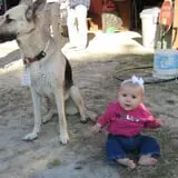 Mills Apple Farm photo