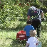 Mills Apple Farm photo