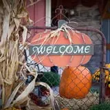 Roth Pumpkin Patch photo