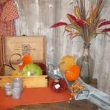 Roth Pumpkin Patch photo