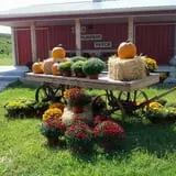 Roth Pumpkin Patch photo