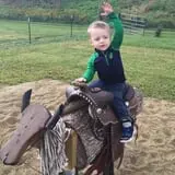 Roth Pumpkin Patch photo