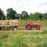 Roth Pumpkin Patch photo
