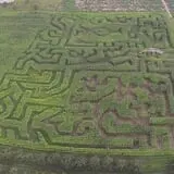 Hillcrest Orchards Maze & Pumpkin Picking photo