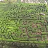 Hillcrest Orchards Maze & Pumpkin Picking photo