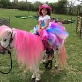 Hitchin Post Stables & Ponies photo