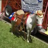 Hitchin Post Stables & Ponies photo