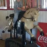 Hitchin Post Stables & Ponies photo