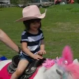 Hitchin Post Stables & Ponies photo