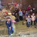 Hitchin Post Stables & Ponies photo