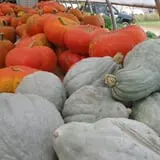 Snell Family Farm photo
