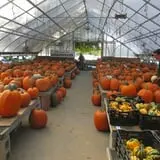 Snell Family Farm photo