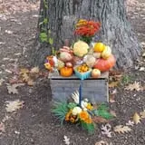 Snell Family Farm photo