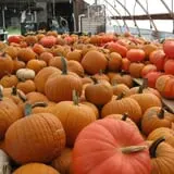 Snell Family Farm photo