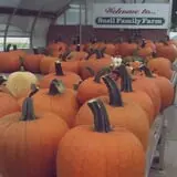 Snell Family Farm photo