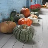 Snell Family Farm photo