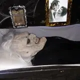 Dead in the Casket