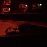 Vampire 